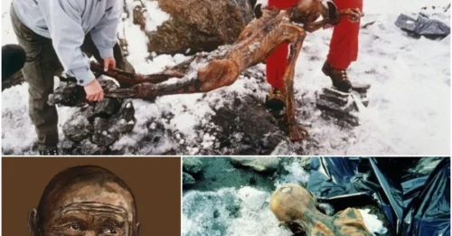 Breaking News: The Astonishing Revelation of Ötzi the Iceman, the Oldest and Most Enigmatic Mummy in Human History, Unlocking Secrets from Over 5,000 Years Ago!