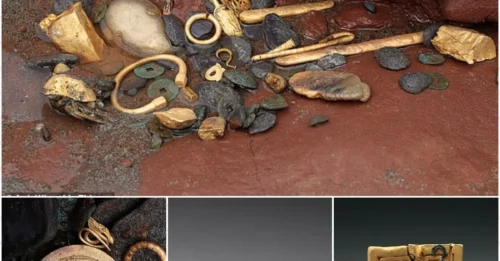 More than 10,000 extremely rare relics and gold seals weighing more than 17 pounds dating back 370 years were unearthed in China