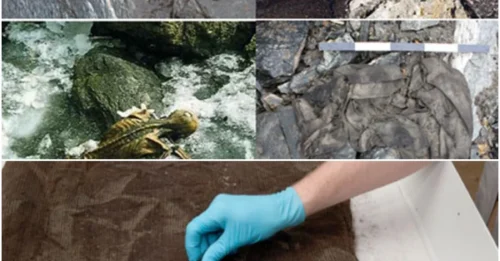 The Rush to Rescue Ancient Artifacts Uncovered by Melting Glaciers