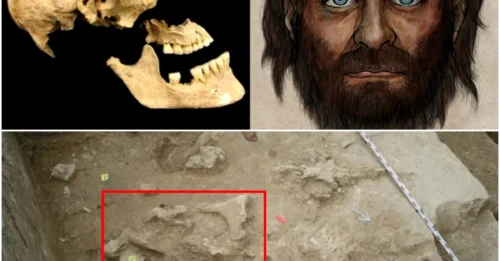 37,000-Year-Old Bone Uncovers Astonishing Link Between Ancient and Modern Europeans
