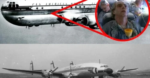 Plane Returns After 3,700 Years, Still Filled with Passengers—But They’re Just Dried-Up Skeletons