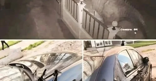 Viral Video Shows Extinct Dinosaur Shredding a Car with Its Claws