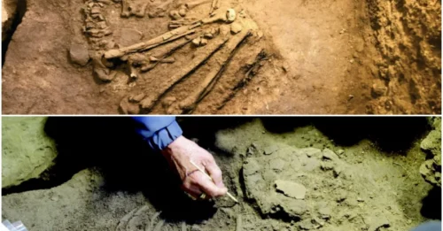 Ancient Human Remains from 10,000 Years Ago Discovered in Vietnam