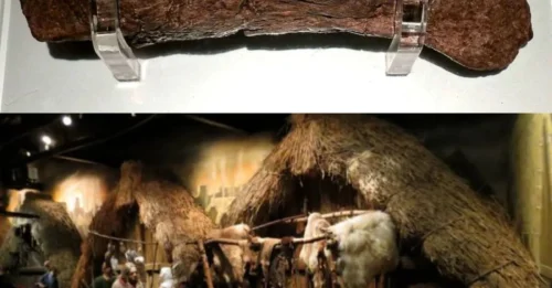 The Lloyds Bank Coprolite: Why One Enormous Viking Poop Matters