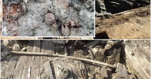 4,000-Year-Old Burial Chamber Reveals Best-Preserved Ancient Fruit: The Preservative Power of Honey