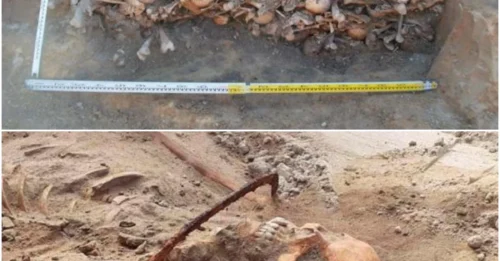 Unearthing Mystery: 450 ‘Vampire’ Skeletons Discovered in Polish Mass Grave