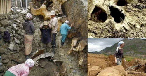 Ancient City Skeletons Reveal the Hidden Historical Secrets of East Africa