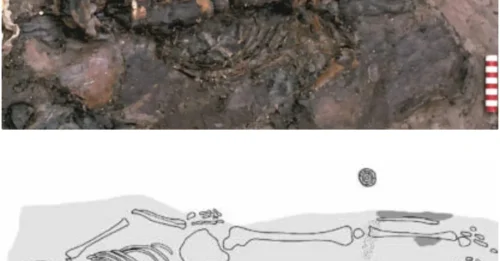 Brutal Justice on the Thames: Medieval Woman's Beaten Body Left as a Public Warning