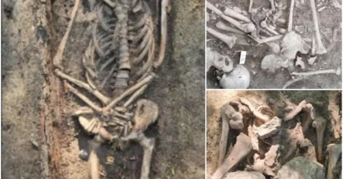 Execution Site Archaeology Uncovers Haunting Secrets in Saxony-Anhalt