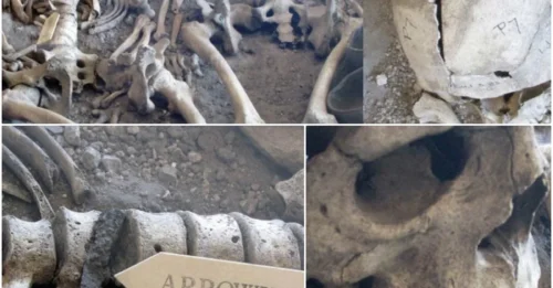 Roman Massacre That Never Happened: Archaeological Site in Britain Holds the Clues