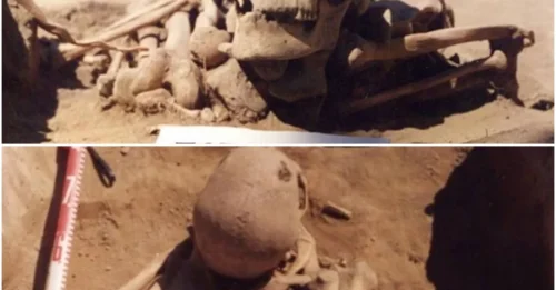 Ancient Siberian Man’s 4,500-Year-Old Remains Reveal Earliest Known Case of Cancer