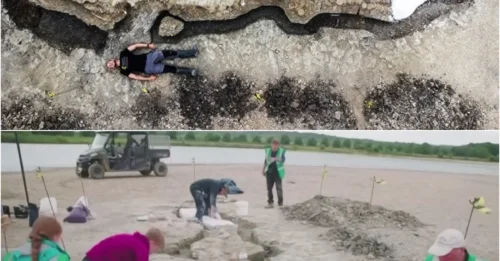 “Incredibly rare” 180-million-year-old giant “sea dragon” fossil discovered in the U.K.