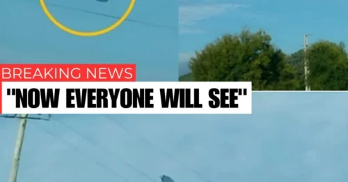 Stunning Footage of a Giant UFO Captured by a Woman in Tucumán, Argentina