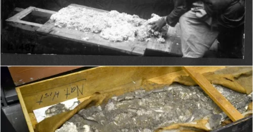 The rediscovery of Noah a 6,500-year-old skeleton, who survived a great flood