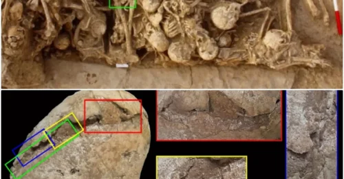 Cone-Headed Skull of 6,200-Year-Old Girl Unearthed in Iran, Scientists Don't Know Why