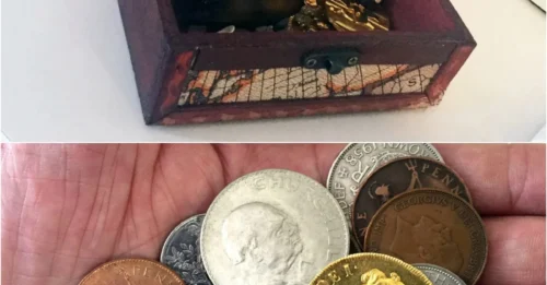 His son’s toy chest suddenly contained Queen Anne Vigo’s lost treasure 300 years ago. The 35-year-old worker screamed with joy because of the unbelievable amount of money