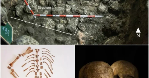 Bizarre Neolithic Burial Site Including Human Skulls And A Goat Skeleton Uncovered In Spain