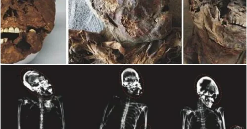 Neolithic Atacama Desert Farmers Battled Violently Over Resources