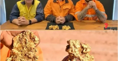 A family of lucky treasure hunters dug up a fortune after finding two giant pieces of gold worth 350,000 USD