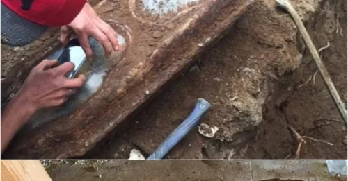 Century-Old Little Girl Found In Coffin Under San Francisco Home Identified