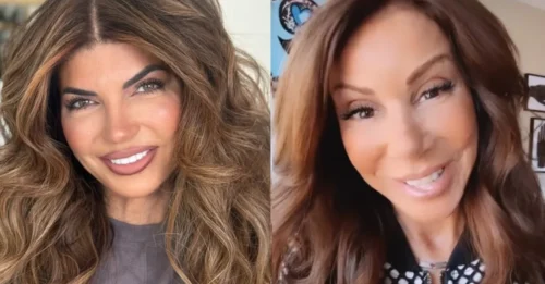 The Real Reason Behind Teresa Giudice and Danielle Staub’s Unforgettable Table Flip – Shocking Revelations About a Broken Marriage and a Co-Star ‘Born to Be a TV Star’