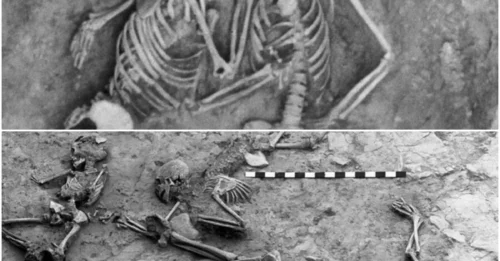 The Mystery Of The Hasanlu Lovers, The Intertwined Skeletons Who Perished In An Ancient Massacre