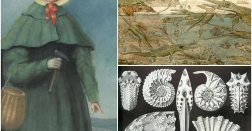 Meet Mary Anning, The Fearless Fossil Hunter Who Got Left Out Of The History Books