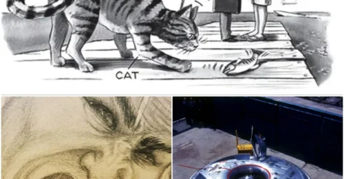 11 Secret American Government Operations That Are Almost Too Crazy To Be Real