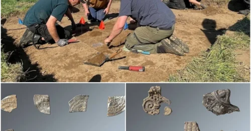 A Hoard Of Viking Treasures Was Just Found By A Metal Detectorist On The Banks Of Germany’s Schlei River