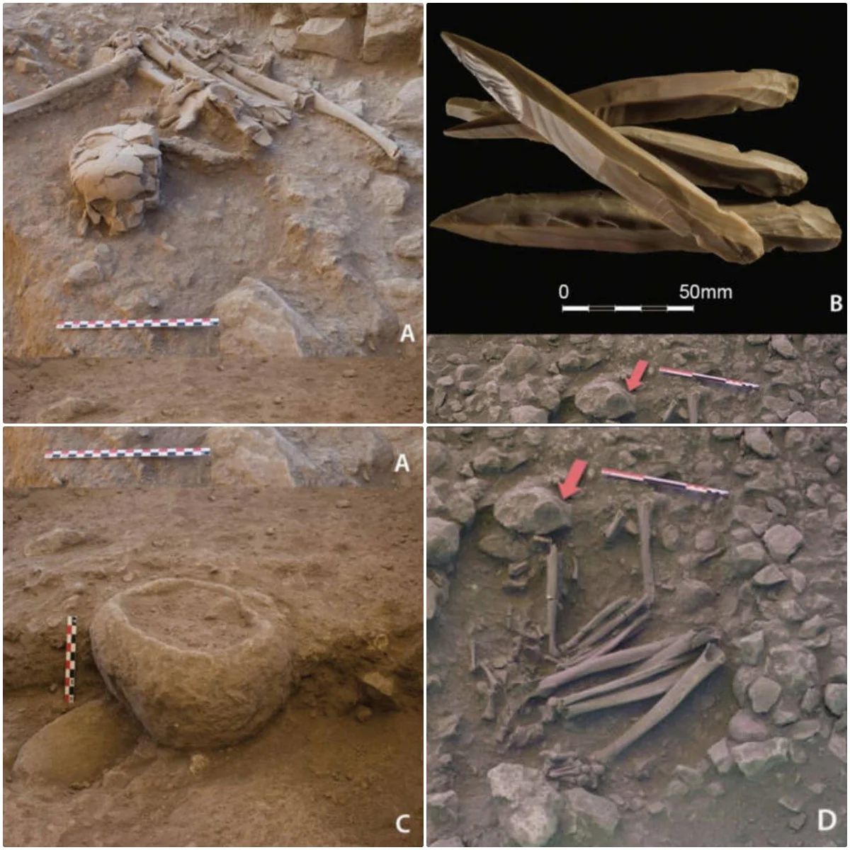 This Prehistoric Cult’s Mysterious Death Ritual Might Have Sparked A ...