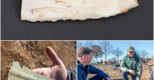 Amateur Archaeologists Just Happened Upon A 4,500-Year-Old Flint Blade In Northern Germany