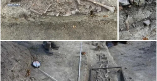 Child’s Anti-Vampire Burial Found in Chełm, Poland