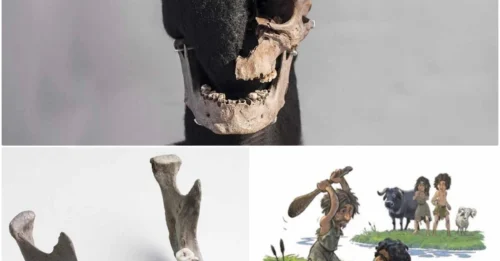 Research Reveals Complex Life of the Vittrup Man’s Danish Bog Body
