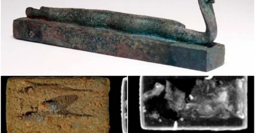 Hidden Contents of 6 Egyptian Animal Coffins Revealed After 2,000 Years