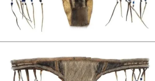 How Inuit women were wearing fur THONGS 130 years ago! Sexy seal underwear was donned when guests visited