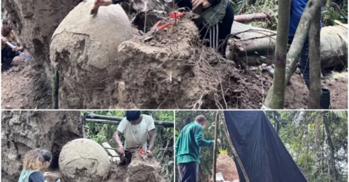 Fisherman Stumbles Upon Enormous Pre-Columbian Funeral Urns In The Brazilian Amazon