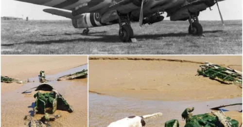 A Couple In England Unexpectedly Found The Wreckage Of A WW2 Fighter Plane While Walking Their Dog