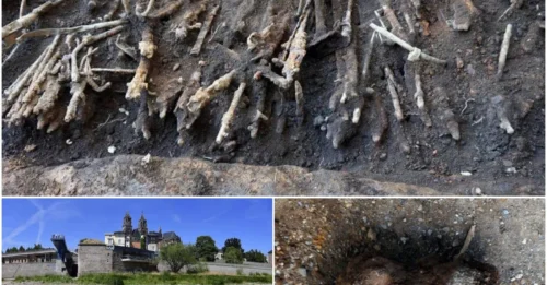 Thousands Of World War II-Era Weapons Found Buried Underneath An Elementary School In Tokyo