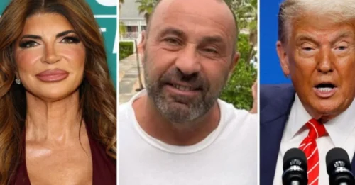 Joe Giudice Secretly Did This After Being Deported – Teresa and the Kids Surprisingly Support Him, Siggy Flicker Reveals the Secret!