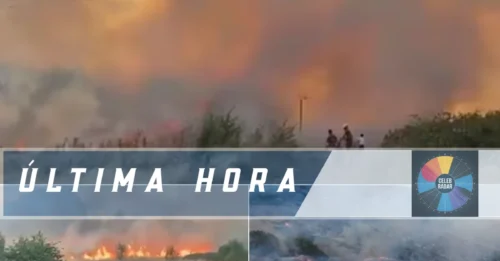 Los bomberos acudieron a controlar tres incendios de pastizales en menos de tres horas en el este de Londres, lo que obligó a los residentes a evacuar.