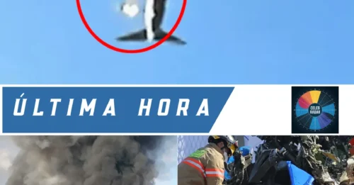 Los pilotos del avión surcoreano siniestrado 