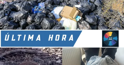 Una enorme rata de 56 centímetros, tan grande como un perro, fue encontrada en una casa mientras un concejal emitía una advertencia sobre roedores gigantes para miles de residentes.