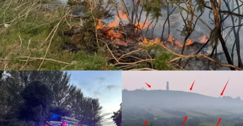Vea el momento de terror del incendio forestal que estalla en las montañas de Dublín mientras 20 bomberos corren al lugar en medio de una importante alerta de visibilidad M50.