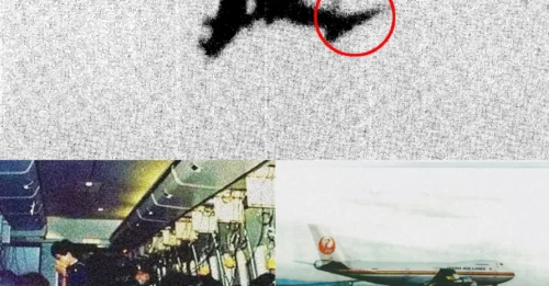 Las imágenes finales muestran el vuelo 123 de Japan Airlines minutos antes del accidente que dejó 520 muertos… y la falla crítica que significó la perdición.