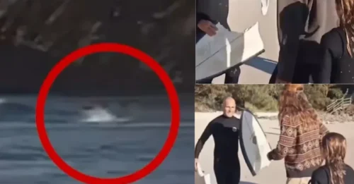 Un aterrador ataque de tiburón es captado en cámara cuando la bestia muerde la tabla de un surfista con un mordisco gigante en un horroroso incidente.