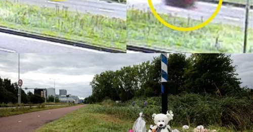 Una niña de 17 años es asesinada a puñaladas mientras llamaba a la policía para denunciar que la seguían en su viaje en bicicleta a su casa en Holanda, mientras la policía arrestaba a un solicitante de asilo 
