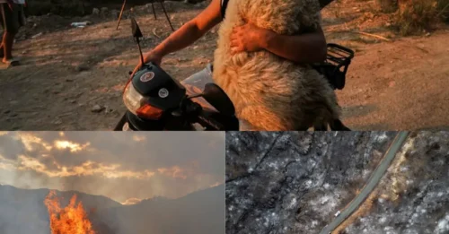 Los incendios forestales del verano europeo rompen un récord aterrador al quemar un millón de hectáreas