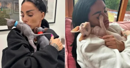 Katie Price’s New Photo Reveals Dangerous Detail, Fans Urge Calling PETA