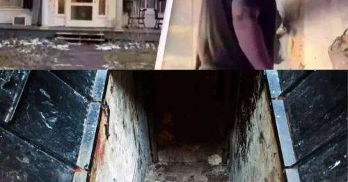 Mujer atónita tras descubrir un 'tesoro' dentro de una habitación oculta en el sótano