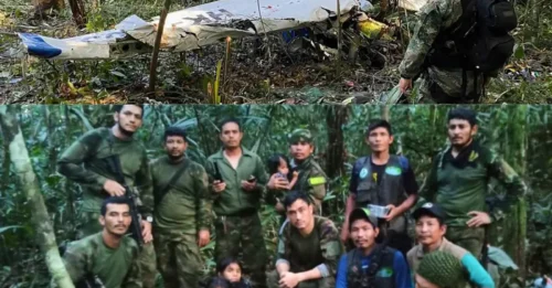 Me arrastré por la jungla con mis hermanos pequeños durante semanas después del accidente: así sobrevivimos a pesar de que los depredadores nos acechaban.